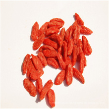 trockenes lycium barbarum Frucht Goji des Großverkaufs